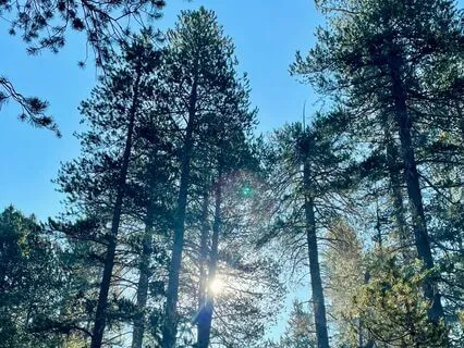 Meditation For Flare-up Pain