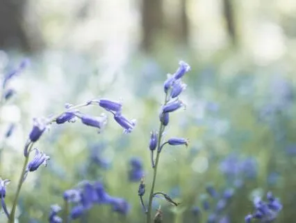 Meditation For Focus