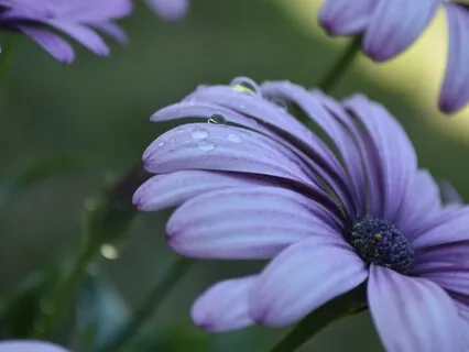 Meditation Music For Focusing