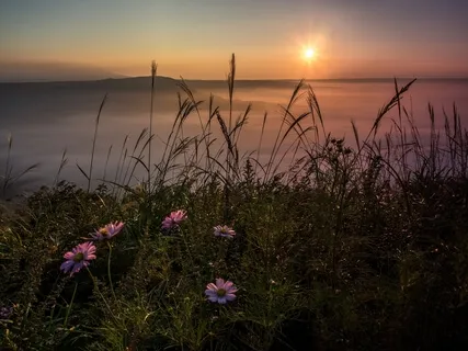 Meditation For Forgiveness