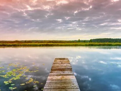 Meditation For Forgiveness