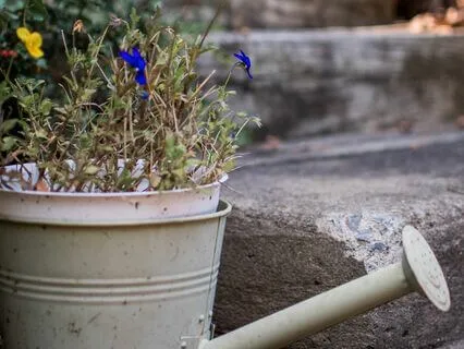 Meditation For Forgiveness