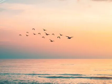 Meditation For Forgiveness