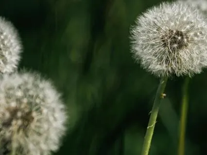 Meditation For Forgiving Others And Letting Go