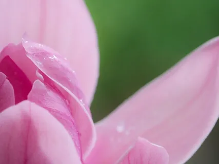 Meditation For General Anxiety