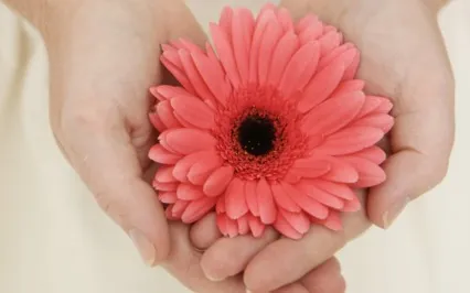 Meditation For Grief