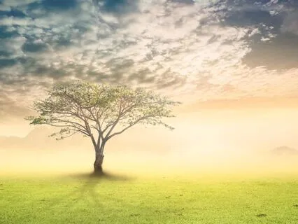 Meditation For Grief And Loss