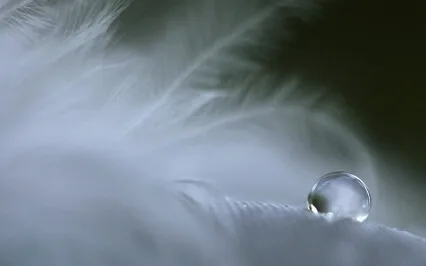 Meditation For Grief Or Loss