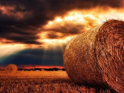 Practice For Grief : Sitting With Sorrow