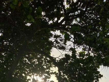 Meditation For Grief