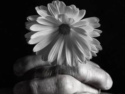 Meditation For Grief