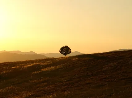 Meditation For Grounding