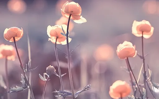 Meditation For Grounding