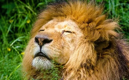 Meditation For Grounding - An Everyday Ritual