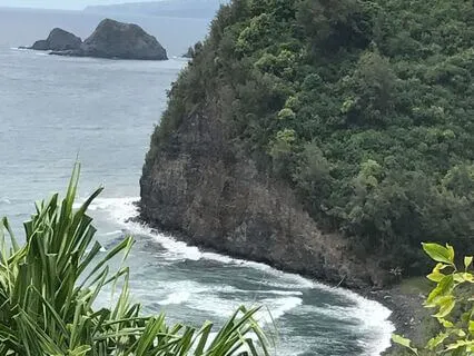 Meditation For Grounding And Gratitude