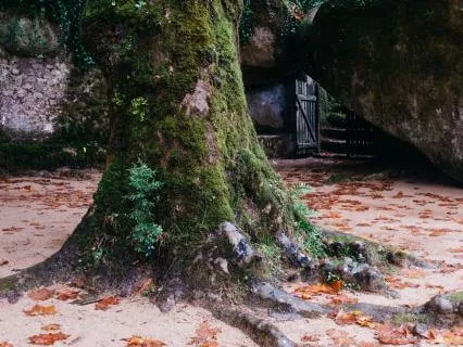 Meditation For Grounding & Relaxation