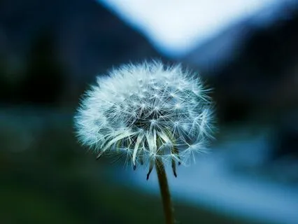 Meditation For Happy Relationships In Your Life