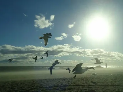 Meditation for Hardworking Hands