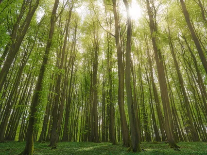 Meditation For Healing