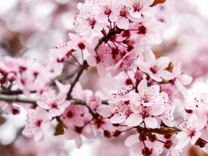 Meditation For Healing