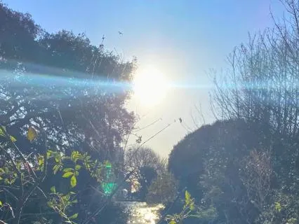 Meditation For Healing And Letting Go