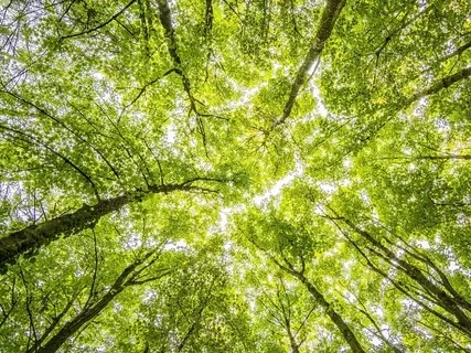 Meditation For Healing Eczema