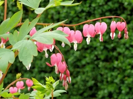 Meditation  For Healing Heartbreak With Kintsugi Method 