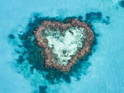 Meditation For Healing, Renewal, And Rejuvenation