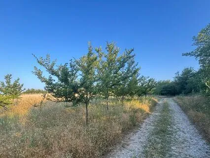 For Healing Through Divorce