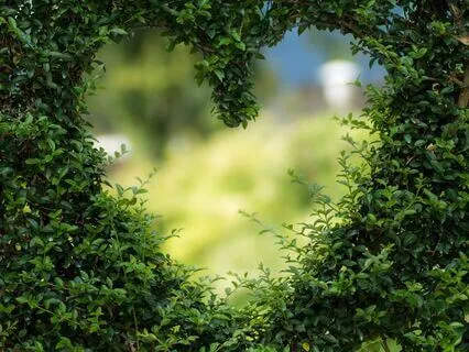 Meditation For Healing Your Heart