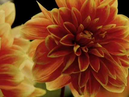 De-Stress And Re-Charge From Health Care Burnout