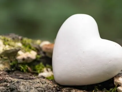 Meditation For Heart Connection