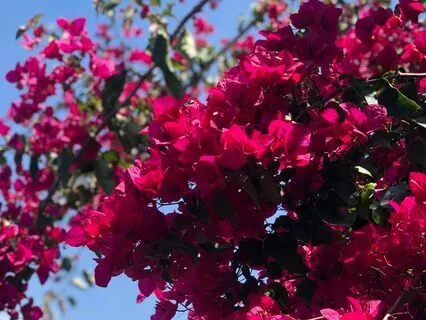 Meditation For Heartbreak