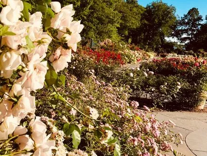 Meditation For Heartbreak