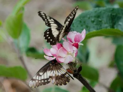 Meditation For Highly Sensitive, Empaths & Lightworkers