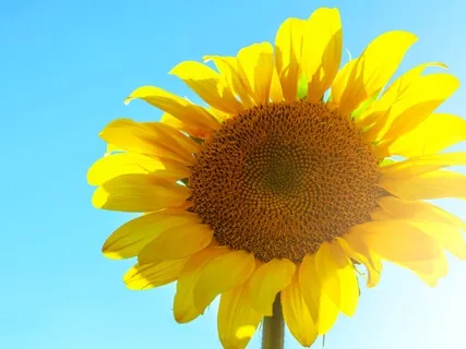 Meditation For Hope & Strength