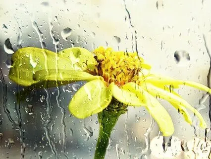 Meditation For If You Are Having A Bad Day To Relieve Stress