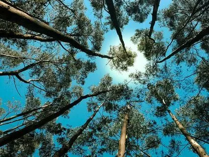 Meditation For Imposter Syndrome