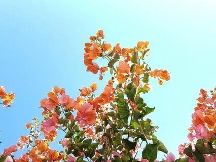 Meditation For Inner Calm