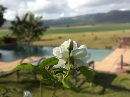 Meditation For Inner Happiness