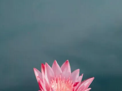 Cultivating Intuitive Wisdom: Nurturing Your Inner Guidance