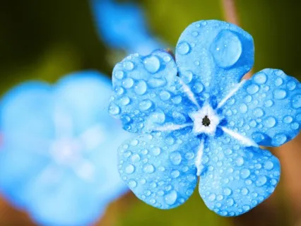 Meditation For Inner Peace