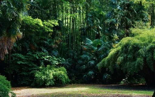 Meditation For Inner Peace