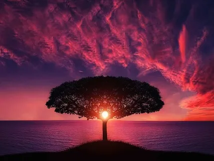 Meditation For Inner Peace & Grounding