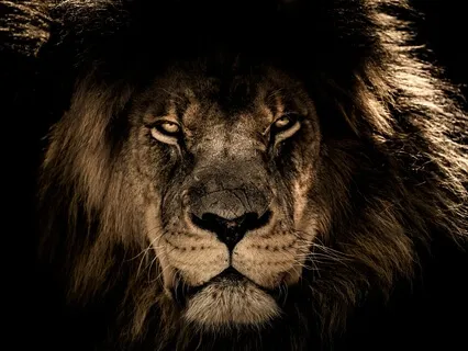 Meditation for Inner Strength