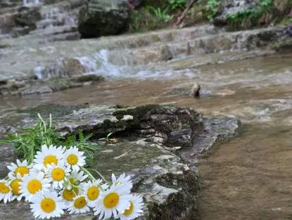 Meditation For Intrusive Thoughts