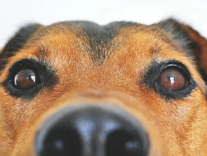 Meditation For Kids: Let's Explore Our Emotions!