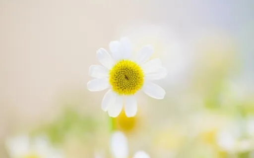 Meditation For Kids - Relax And Feel Happy