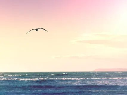 Meditation For Letting Go