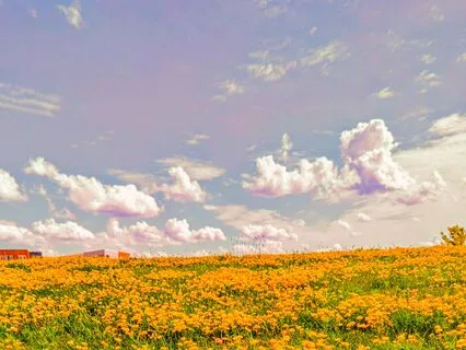 Letting Go And Embracing Change